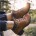 Merrell Chateau
