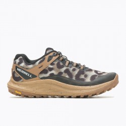 Merrell Antora 3 Leopard Sepia Leopard Women