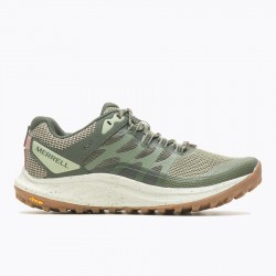 Merrell Antora 3 Lichen Women